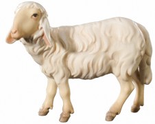 6047_Schaf_stehend_rechts