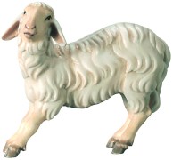 6049_Schaf_str_ubend