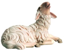 6056_Schaf_liegend_bl_kend